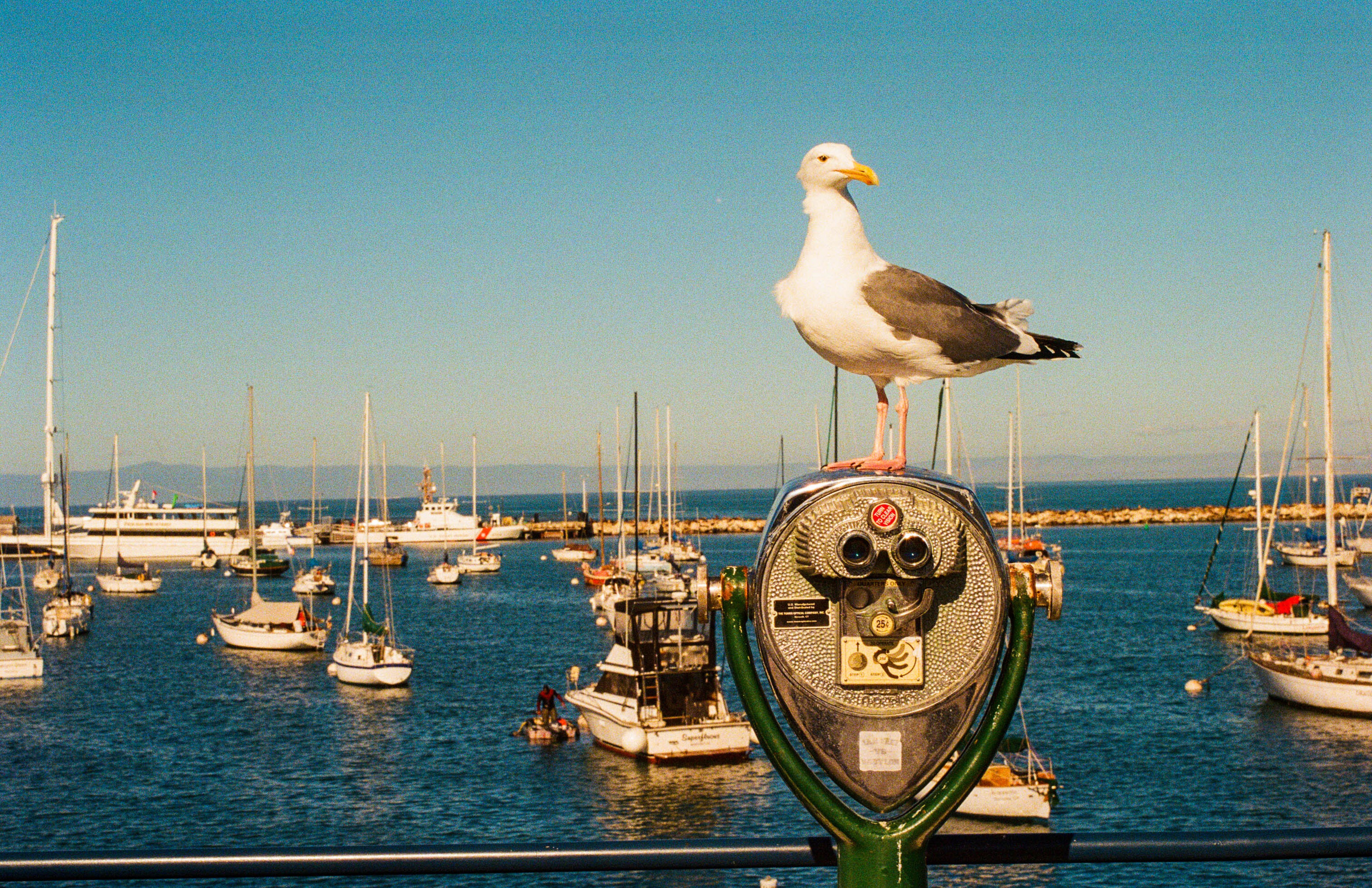 Harbor Watch