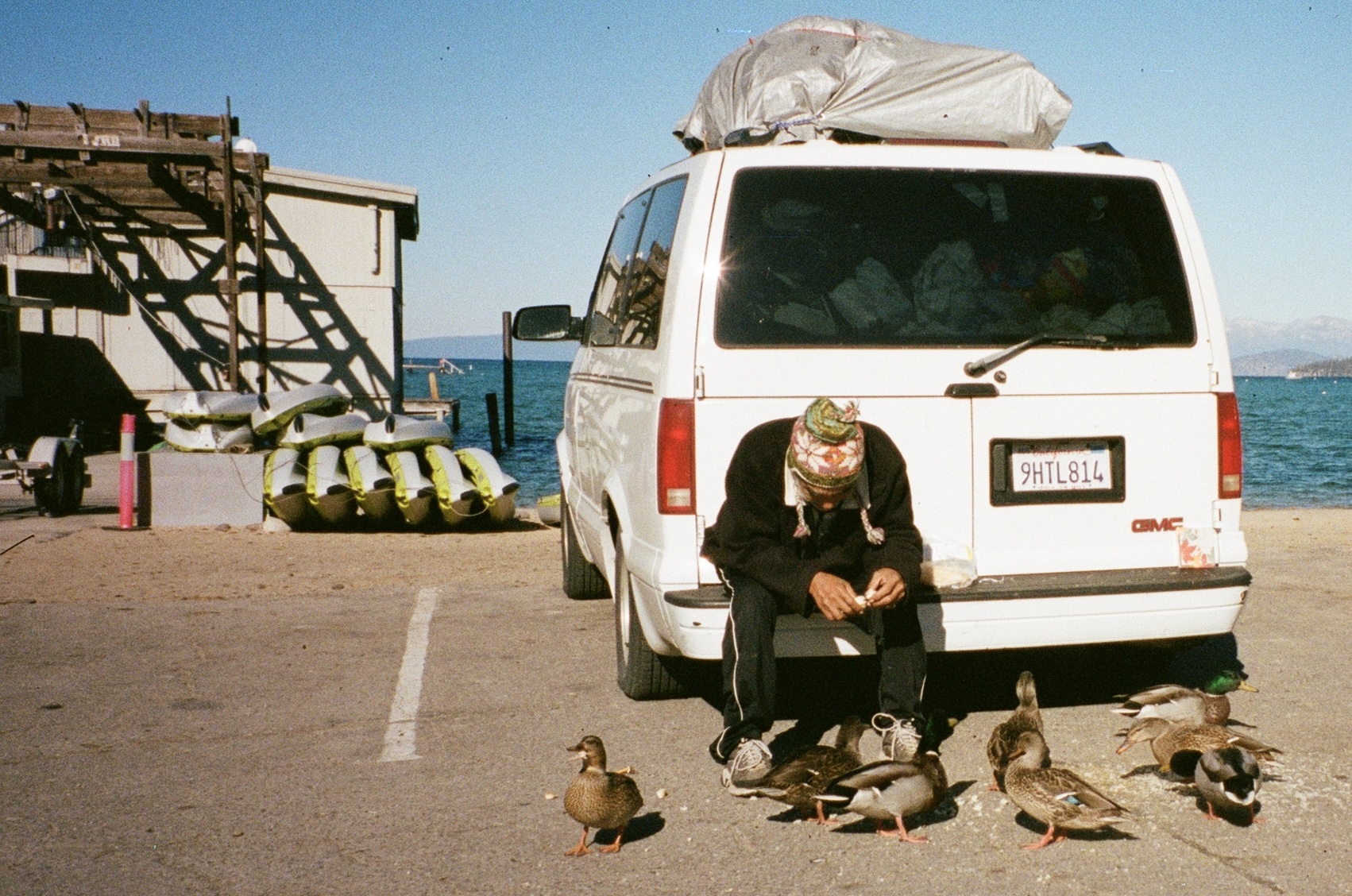 Person feeding ducks at waterfront